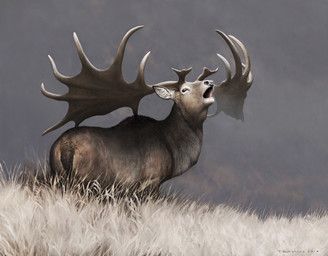 renum63, brown_body, brown_fur, cervine, deer