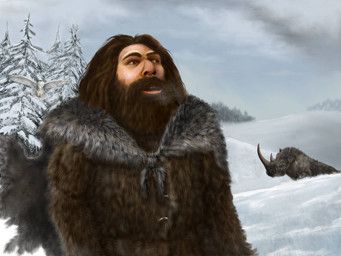 mihin89, archaic_human, avian, beard, bird