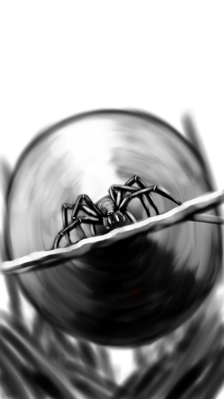 dartht15, 8_legs, arachnid, arthropod, arthropod_abdomen