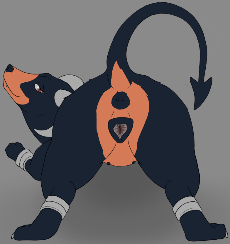 nintendo, pokemon, tiny_terrible, animal_genitalia, animal_vulva